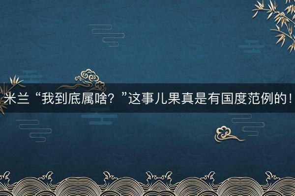 米兰 “我到底属啥？”这事儿果真是有国度范例的！