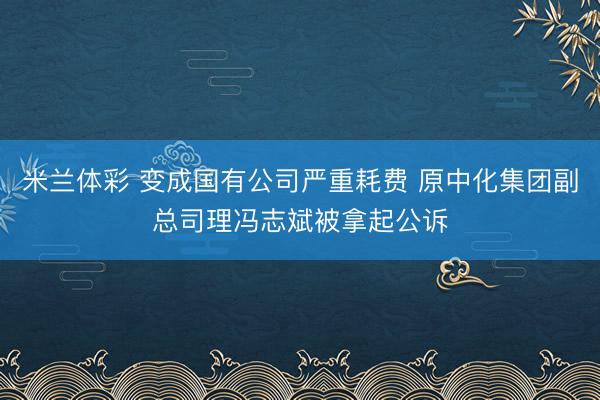 米兰体彩 变成国有公司严重耗费 原中化集团副总司理冯志斌被拿起公诉
